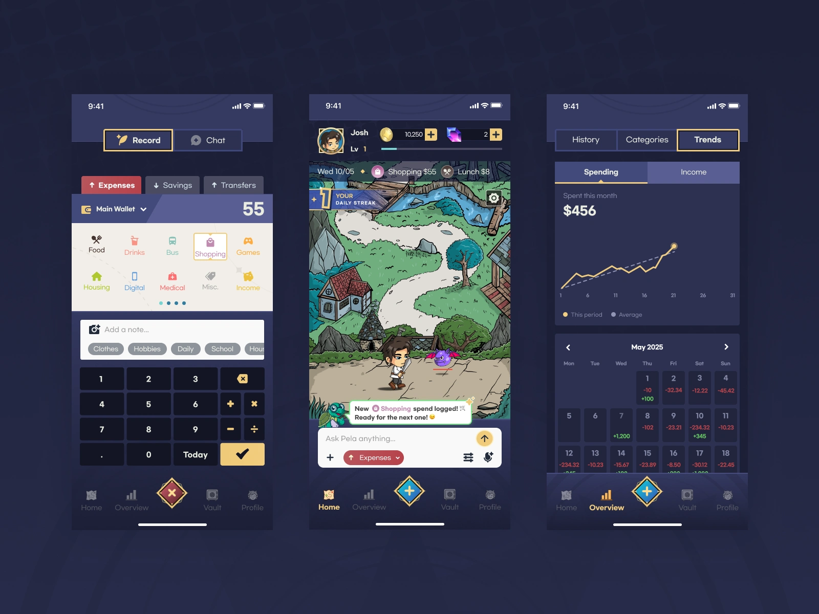 Original design study: Expenses, adventure map and analytics